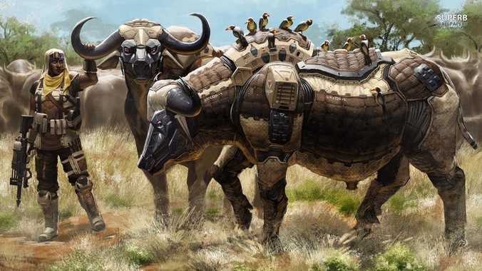 张伟丽可以打败什么级别的普通男性?